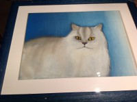 /album/chats/photo-022-jpg/